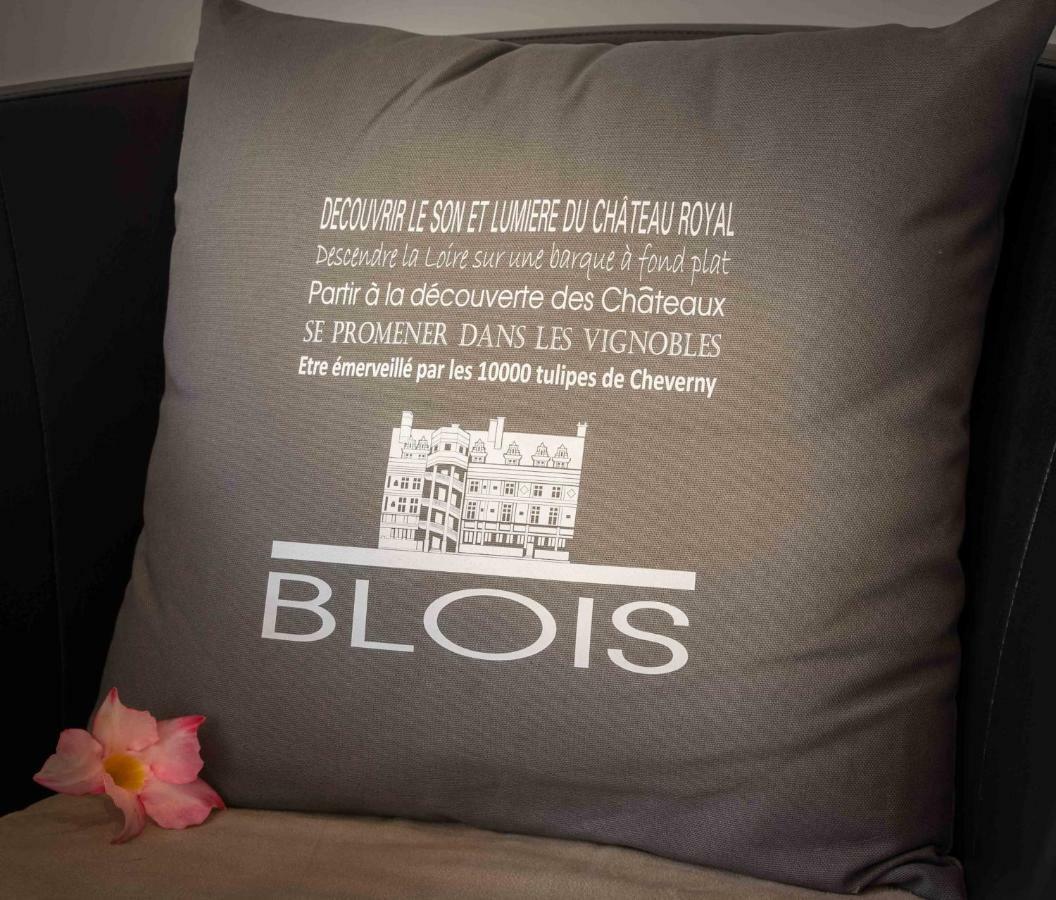 Le Relais Du Petit Lion Apartman Blois Kültér fotó